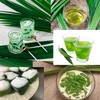 SALINRAAT - Premium Dried Pandan Leaves (1.76oz / 50g) -