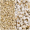 Nature Nate’s Popped Sorghum, Rosemary & Garlic - Sorghum, Keto