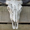 Best Value Here Wall Mounted Silver Stag Head Deer Large