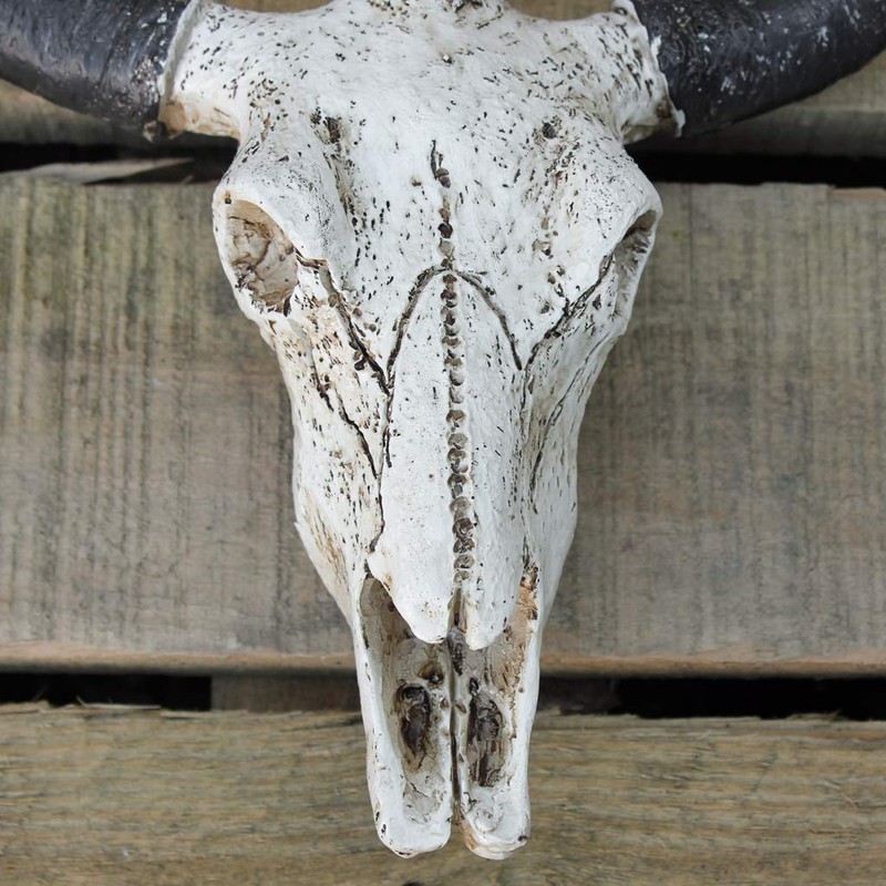 Best Value Here Wall Mounted Silver Stag Head Deer Large