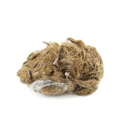 EISCO EcoExploration Simulated Owl Pellet with Mouse - Realistic Educational Tool for Biology and Ecology, Reusable, 3x1.5 Inches - Made in USA