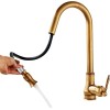 Rozin Kitchen Faucet Pull Out Spray Single Handle Sink Swivel