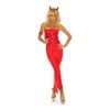 Nom de Plume, Inc Sexy Stretch Lycra 3PC Devil Gown