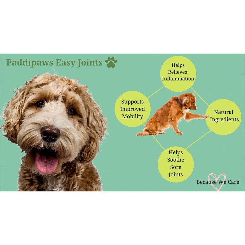 Paddipaws Dog Joint tablets - High Strength Hip and Joint