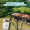 WADEO 4 FT 0-30 PSI Adjustable High Pressure Propane Regulator