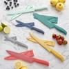 Farberware - 5272030 Farberware Resin Cutlery Set, Assorted, Pastel Cool,