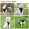 Jolifield No Pull Dog Harness with Leash Set for Medium