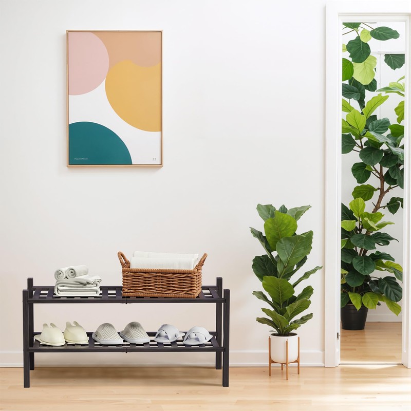 Haddockway 2 Tier Bamboo Shoe Rack Storage Organizer, Multifunctional Free