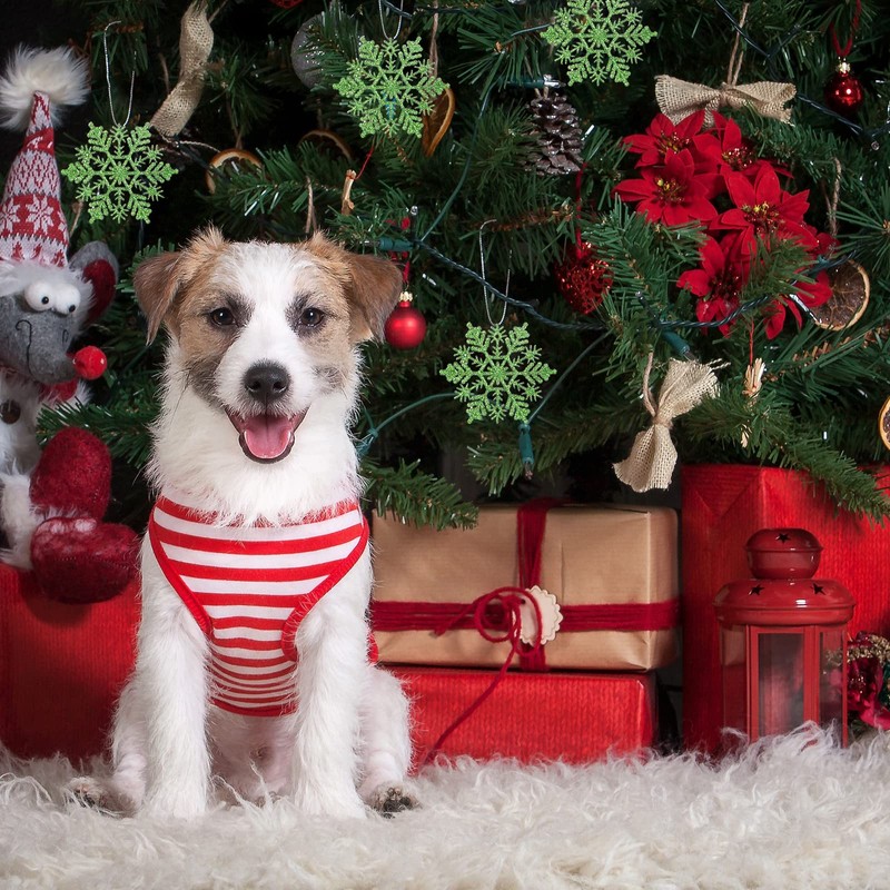 Luxtea 30ct Plastic Christmas Sparkling Glitter Snowflake Ornaments Christmas Tree