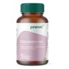 Colagen+ha (120 Caps) Pronat Ultra
