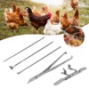 Chicken Capon Kit Capon Knife Tool Cock Rooster Caponizing Instruments