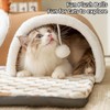 Cat Tunnel Bed Indoor,Cat Peekaboo Cave Bed for Multiple Cats,Kitty