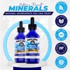 The Food Movement Co. Black Earth Ultimate Trace Minerals 10x