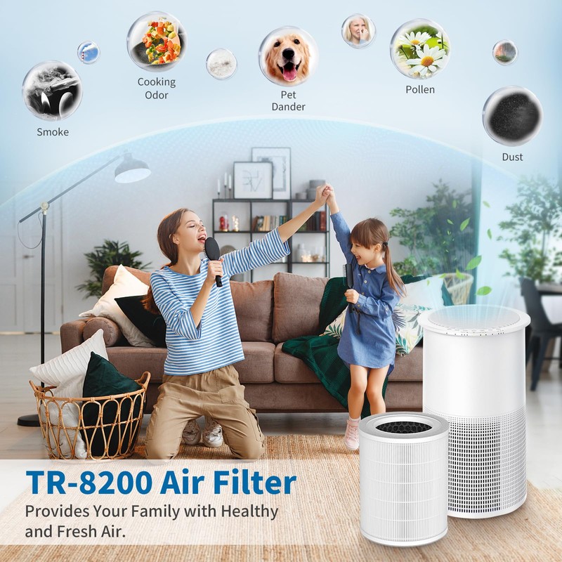 SAKEGDY TR-8200 Replacement Filter, Compatible with Dreamegg TR-8200 Large Room