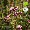 effective nature - Organic Oregano Essential Oil - 30 ml
