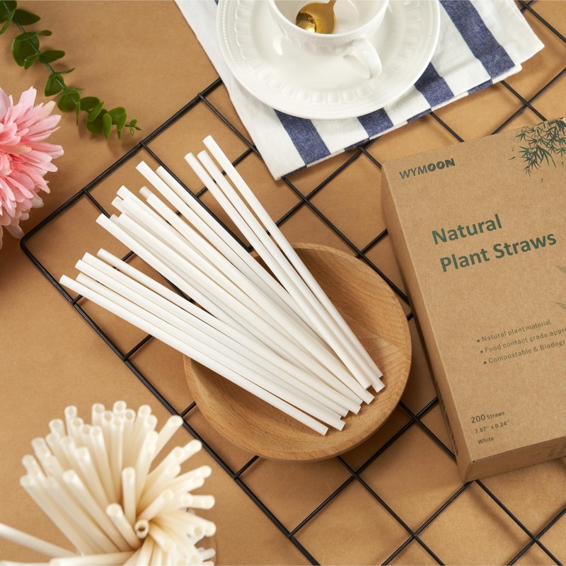 WYMOON Biodegradable Straws made of Natural Plant | 600 PCS