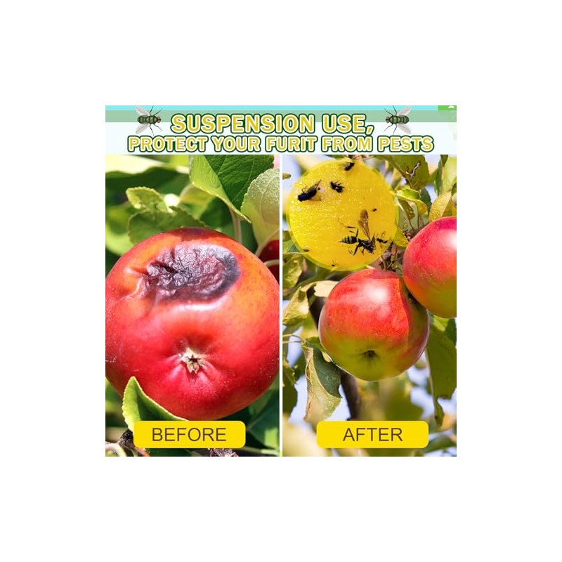 Qualirey Fruit Fly Sticky Trap Balls - 10 Pack Gnat