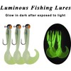 Fishing Jig Head Hooks Soft Grub Plastic Lures Bait, 17pcs