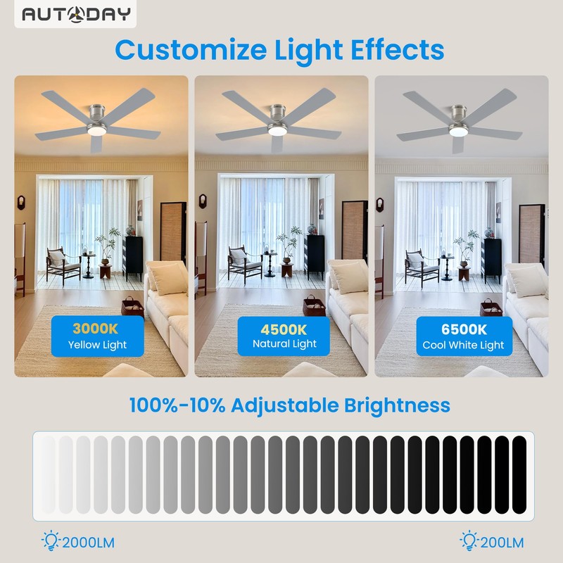Autoday 52 Inch Low Profile Ceiling Fan with Light, Burshed