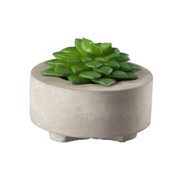 ASA Succulent II 66241444 Green Diameter 8.5 cm in Grey Concrete Pot