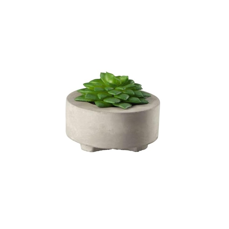 ASA Succulent II 66241444 Green Diameter 8.5 cm in Grey