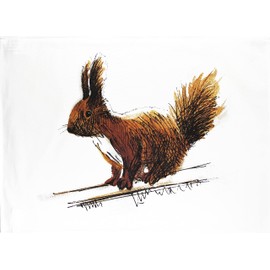 Half a Donkey Squirrel in a Hurry Large Cotton Tea Towel