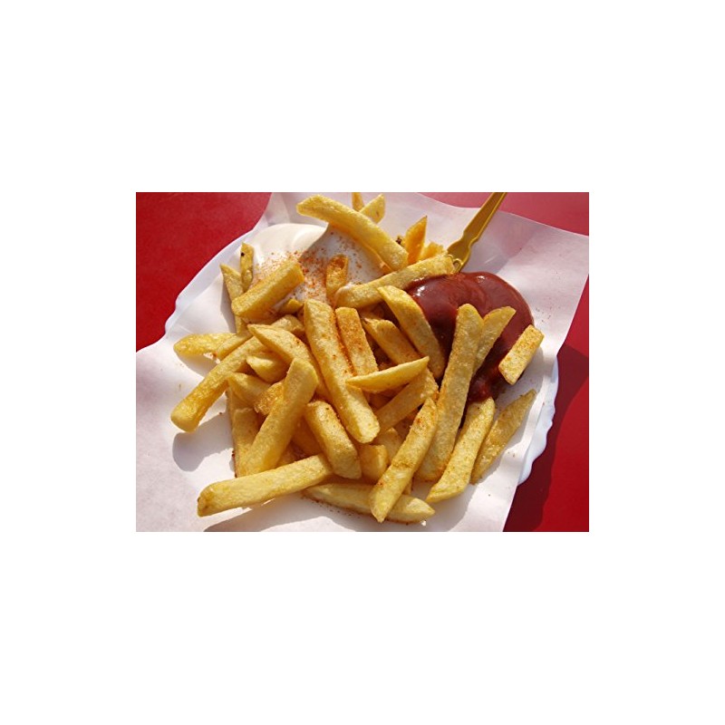 Professional Series 3 Lt Deep Fryer with Enamel Pot, Stainless