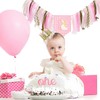 Funny Goose High Chair Banner for Girls, Pink 1st Birthday