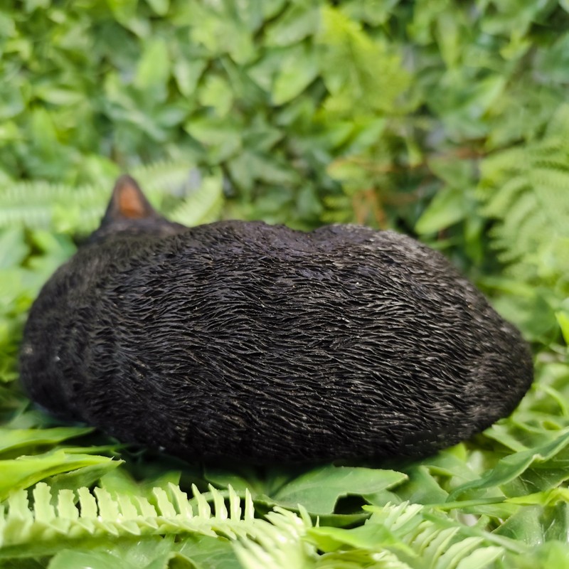 Vivid Arts - Sleeping Cat Black - XRL-ZC37-D