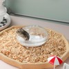 IBWell Transparent Hamster Sand Bath Container Hamster Sand Box, Hamster