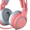 Cat Ear Headphones with Noise Reduction Mic for Girls All