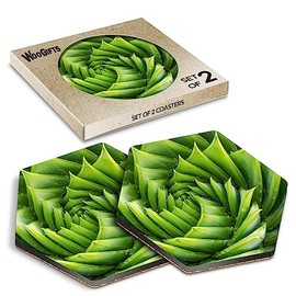 2 x Hexagon Coasters - Aloe Vera Plant Nature Green Cork Backed MDF Glossy Tea Coffee Accessory #52594