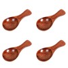 Small Wooden Spoons 4 PCS 3 inches Wood Spice Spoon