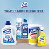 Lysol Tough Odor Eliminator Laundry Sanitizer Additive, Sanitizing Liquid for