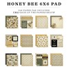 Echo Park Paper Honey Bee 6x6 Paper Pad, Multi