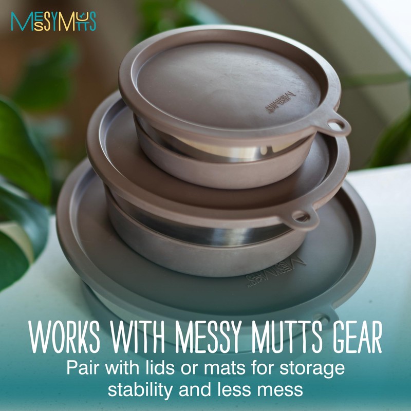 Messy Mutts Stainless Steel Heavy Gauge Bowl with Non-Slip Removable