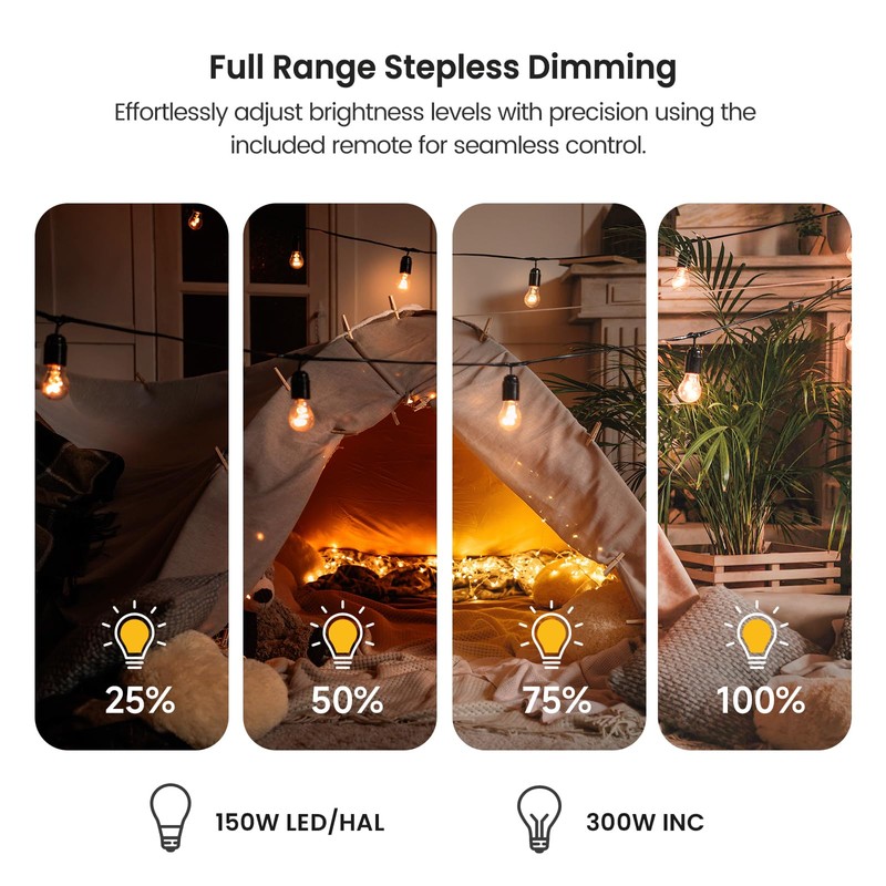 TREATLIFE 2 in 1 Dimmer Plug with Remote, No Smart