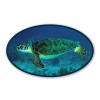 AK Wall Art Green Turtle Swimming Car Vinyl Sticker - SELECT SIZE - (A) X-Small: 3"