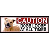 SHAWPRINT American Pit Bull CAUTION DOGS LOOSE AT ALL TIMES