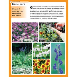 Home Gardener's Perennials & Bulbs: The Complete Guide to Growing 58 Flowers in Your Backyard