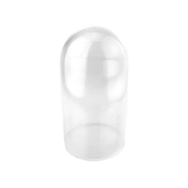 HOMEFORD Plastic Dome Display Case with Clear Base, 6-inch, 1-Count