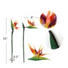 DODXIAOBEUL Large Bird of Paradise 32 Inch Permanent Flower,UV Resistant