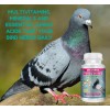 VITOFARMA COMPLETE VITAMIN FOR PIGEON MULTIVIT VITAMINA PARA PALOMAS 100
