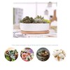 WEIYON-6.29 inchSucculent Planter Ceramic with Bamboo Tray, Modern White Ceramic