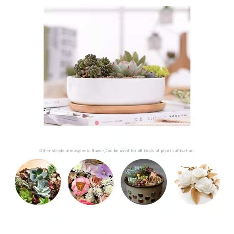 WEIYON-6.29 inchSucculent Planter Ceramic with Bamboo Tray, Modern White Ceramic