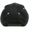 Champion Baseball Cap, Embroidered, Black, One Size Fits All
