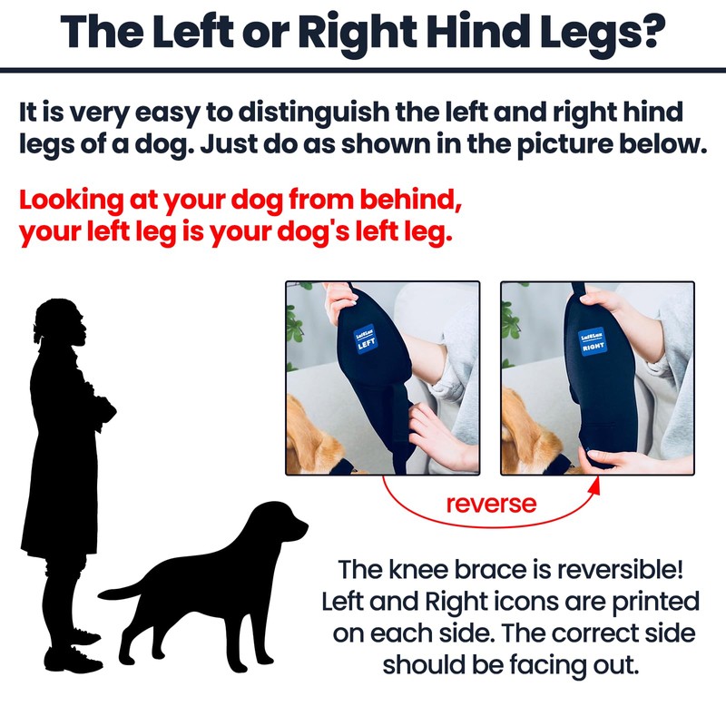 LufeLux Dog Knee Brace with Harness and Connection Belt, Lightweight