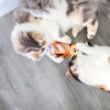 Mad Cat Orange Mice Soda Catnip + silvervine cat Toy