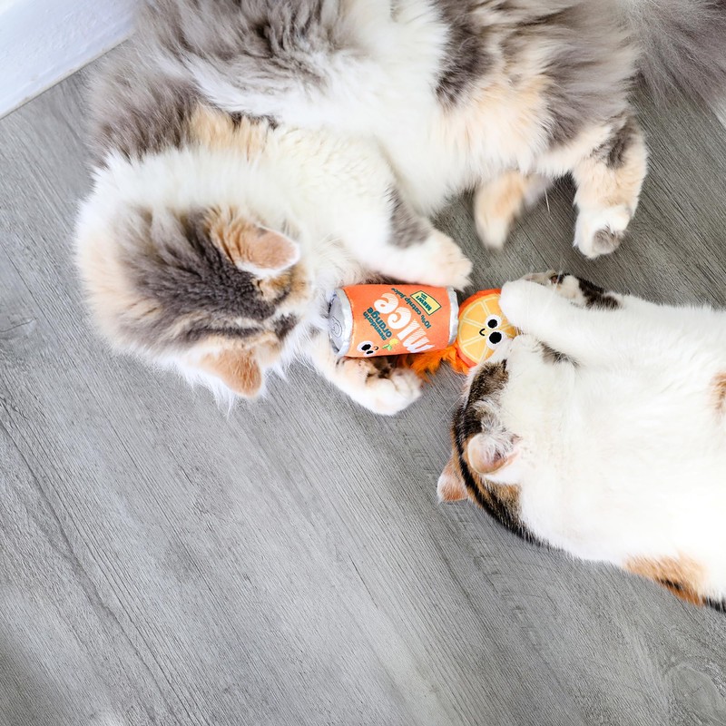 Mad Cat Orange Mice Soda Catnip + silvervine cat Toy