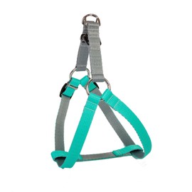 Dingo Tape Harness for Dog, 40, mint